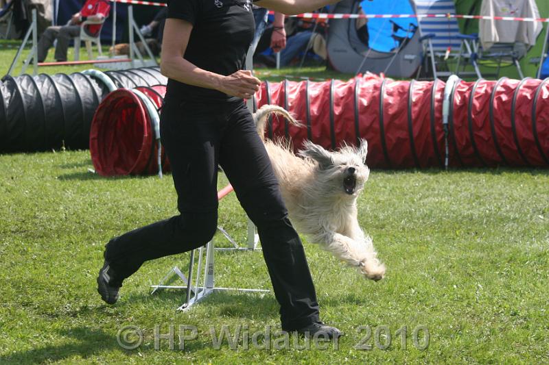 Haag2010 210.jpg